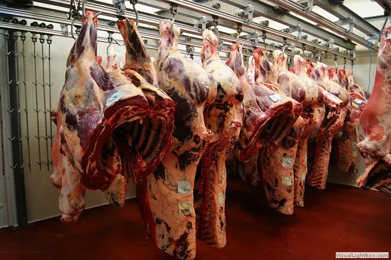 viande-vdw-belgique